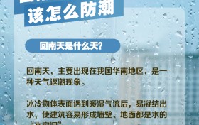 回南天该怎么防潮？